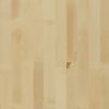 TGP JAVOR 3L BARCELONA NATURAL PROF LAK 5Gs