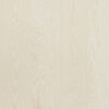 TGP 1L JASEN NATURE WHITE LAK GL10 2mV 5G