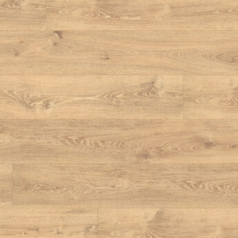 LAMINATE 2431 BAYFORD DUB LIGHT 4V 10/33 24h C-it