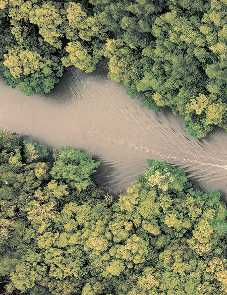 ESSENCE WAVES HERRINGBONE INSPIRATION WEB