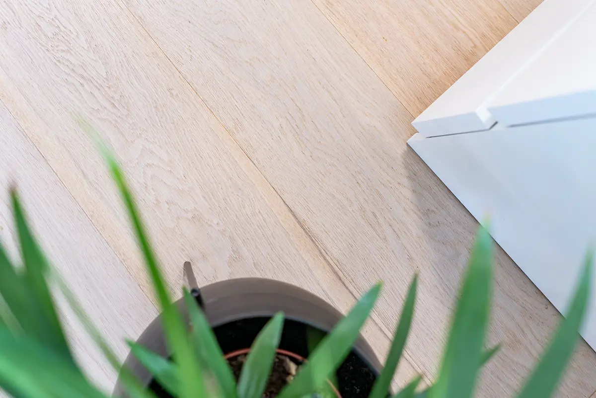 Svetlý priestor s črepníkovou rastlinou a detailom svetlej olejovanej drevenej podlahy.