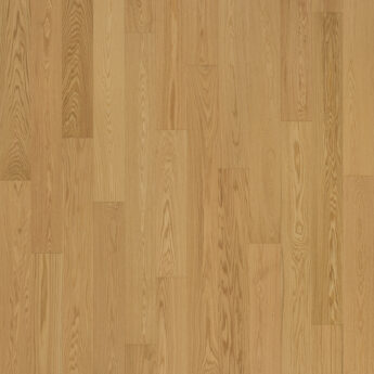 3LP 1S AM DUB CORSICA AB BRUSH LACQ T+G