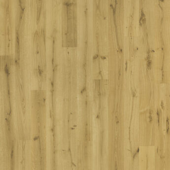 3LP 1S DUB WILD KARTÁČOVANÝ  EC OLEJ 5G