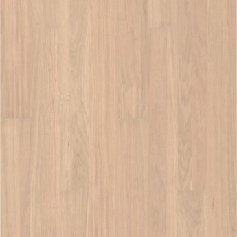 DUB VISTA WHITE MAT LAK 5G Dry